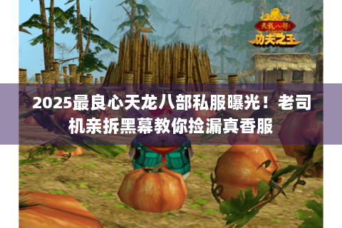 2025最良心天龙八部私服曝光！老司机亲拆黑幕教你捡漏真香服