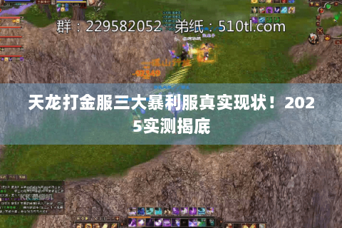 天龙打金服三大暴利服真实现状!2025实测揭底 天龙打金服三大暴利服真实现状!2025实测揭底