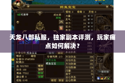 天龙八部私服,独家副本评测,玩家痛点如何解决? 天龙八部私服,独家副本评测,玩家痛点如何解决?