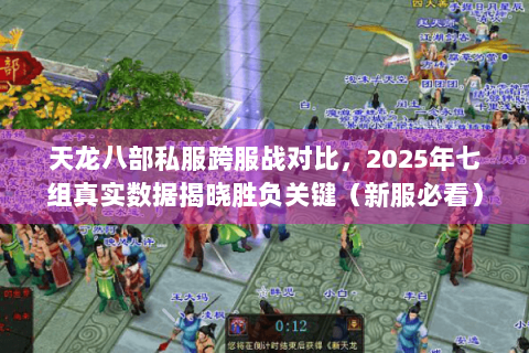 天龙八部私服跨服战对比，2025年七组真实数据揭晓胜负关键（新服必看）