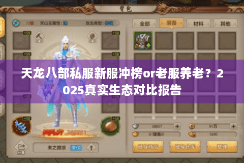 天龙八部私服新服冲榜or老服养老？2025真实生态对比报告