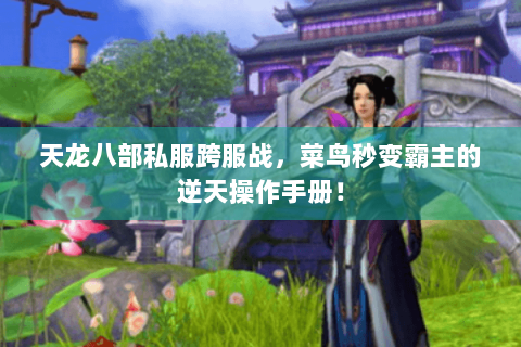 天龙八部私服跨服战，菜鸟秒变霸主的逆天操作手册！