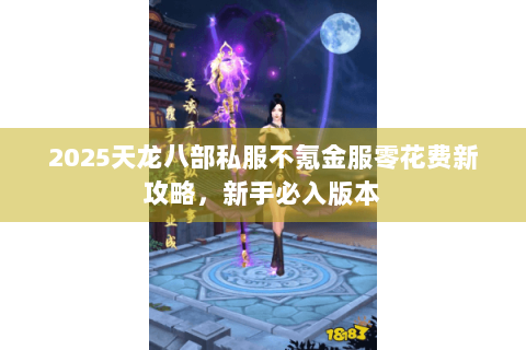 2025天龙八部私服不氪金服零花费新攻略，新手必入版本