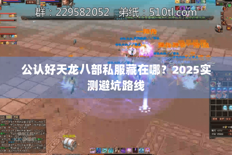 公认好天龙八部私服藏在哪?2025实测避坑路线 公认好天龙八部私服藏在哪?2025实测避坑路线