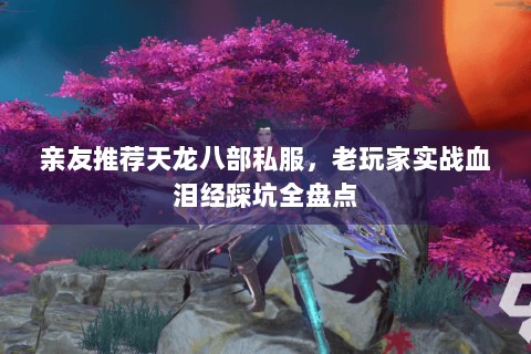 亲友推荐天龙八部私服，老玩家实战血泪经踩坑全盘点