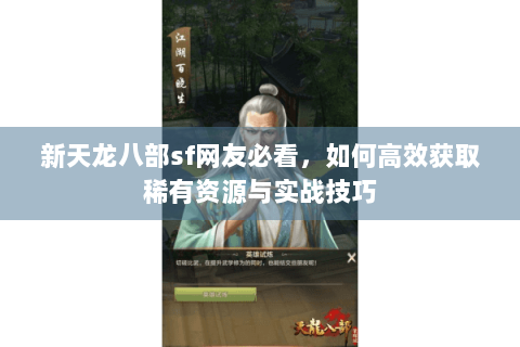 新天龙八部sf网友必看，如何高效获取稀有资源与实战技巧