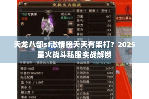 天龙八部sf激情榜天天有架打?2025最火战斗私服实战解锁 天龙八部sf激情榜天天有架打?2025最火战斗私服实战解锁