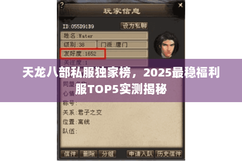 天龙八部私服独家榜,2025最稳福利服TOP5实测揭秘 天龙八部私服独家榜,2025最稳福利服TOP5实测揭秘