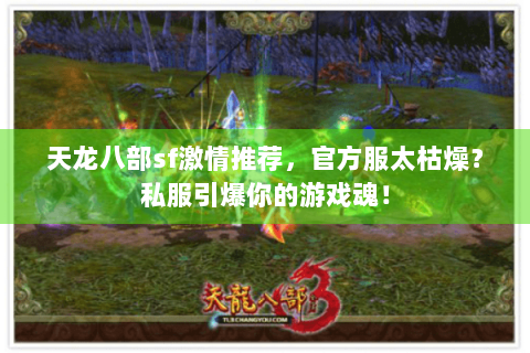 天龙八部sf激情推荐,官方服太枯燥?私服引爆你的游戏魂! 天龙八部sf激情推荐,官方服太枯燥?私服引爆你的游戏魂!