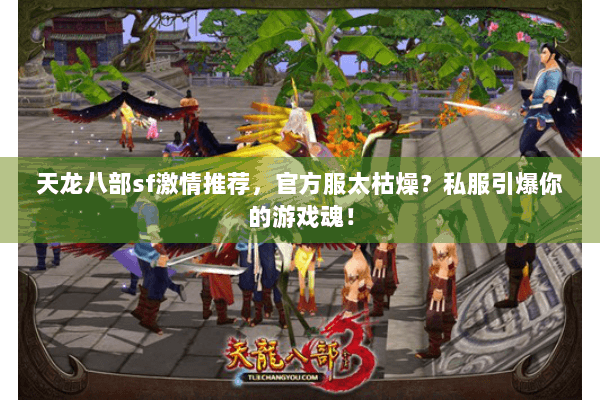 天龙八部sf激情推荐,官方服太枯燥?私服引爆你的游戏魂! 天龙八部sf激情推荐,官方服太枯燥?私服引爆你的游戏魂!