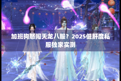 加班狗怒闯天龙八服?2025低肝度私服独家实测 加班狗怒闯天龙八服?2025低肝度私服独家实测