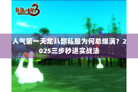 人气第一天龙八部私服为何总爆满？2025三步秒进实战法