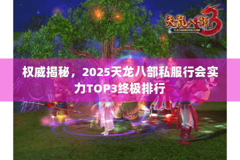 权威揭秘，2025天龙八部私服行会实力TOP3终极排行