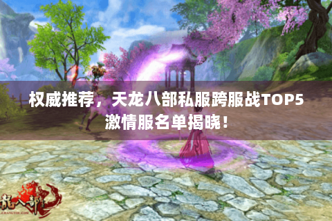 权威推荐，天龙八部私服跨服战TOP5激情服名单揭晓！