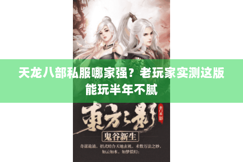 天龙八部私服哪家强?老玩家实测这版能玩半年不腻 天龙八部私服哪家强?老玩家实测这版能玩半年不腻