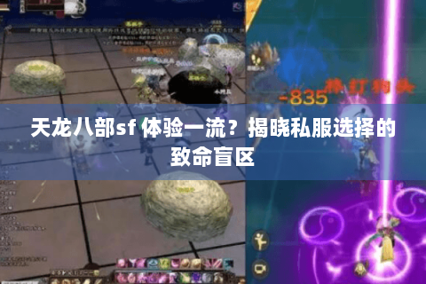 天龙八部sf 体验一流?揭晓私服选择的致命盲区 天龙八部sf 体验一流?揭晓私服选择的致命盲区