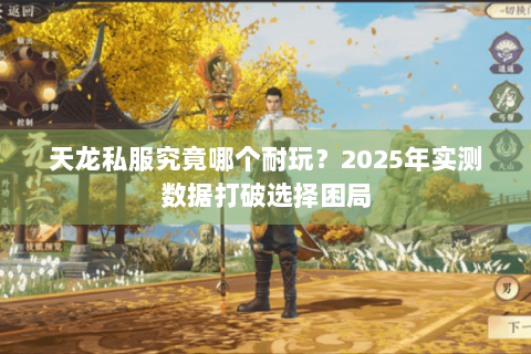 天龙私服究竟哪个耐玩？2025年实测数据打破选择困局
