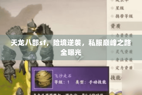 天龙八部sf,险境逆袭,私服巅峰之路全曝光 天龙八部sf,险境逆袭,私服巅峰之路全曝光