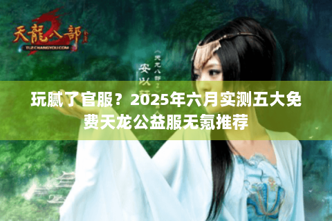 玩腻了官服？2025年六月实测五大免费天龙公益服无氪推荐