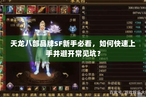 天龙八部品牌SF新手必看,如何快速上手并避开常见坑? 天龙八部品牌SF新手必看,如何快速上手并避开常见坑?