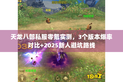 天龙八部私服零氪实测,3个版本爆率对比+2025新人避坑路线 天龙八部私服零氪实测,3个版本爆率对比+2025新人避坑路线