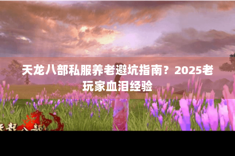 天龙八部私服养老避坑指南？2025老玩家血泪经验