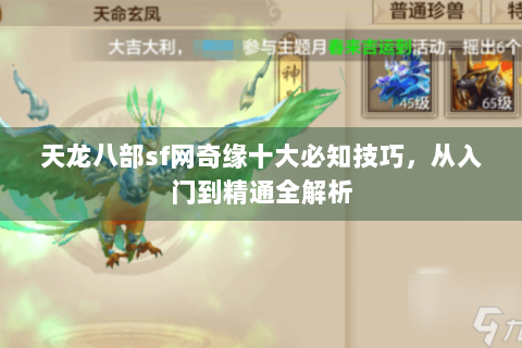 天龙八部sf网奇缘十大必知技巧,从入门到精通全解析 天龙八部sf网奇缘十大必知技巧,从入门到精通全解析
