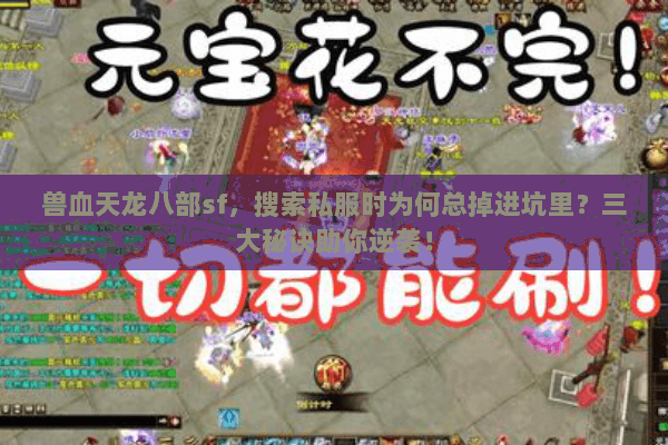 兽血天龙八部sf，搜索私服时为何总掉进坑里？三大秘诀助你逆袭！