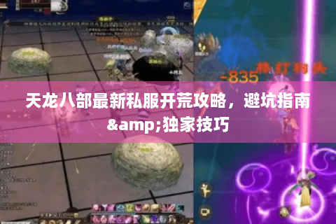 天龙八部最新私服开荒攻略，避坑指南&独家技巧