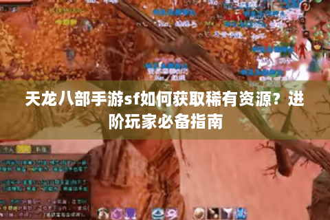 天龙八部手游sf如何获取稀有资源？进阶玩家必备指南