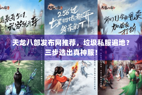 天龙八部发布网推荐,垃圾私服遍地?三步选出真神服! 天龙八部发布网推荐,垃圾私服遍地?三步选出真神服!