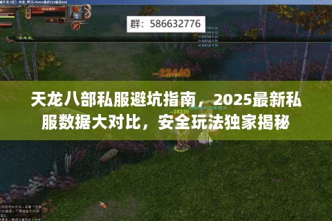 天龙八部私服避坑指南，2025最新私服数据大对比，安全玩法独家揭秘
