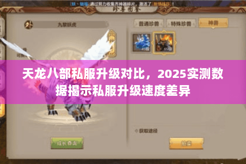 天龙八部私服升级对比，2025实测数据揭示私服升级速度差异