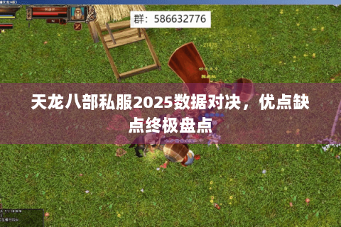 天龙八部私服2025数据对决，优点缺点终极盘点