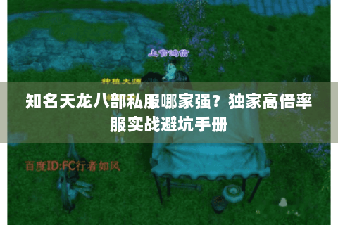 知名天龙八部私服哪家强？独家高倍率服实战避坑手册