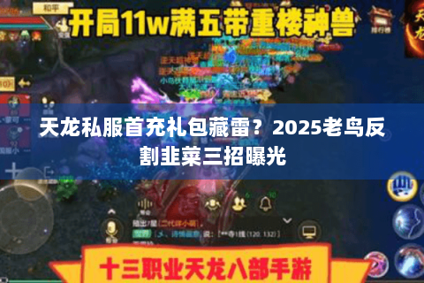 天龙私服首充礼包藏雷？2025老鸟反割韭菜三招曝光