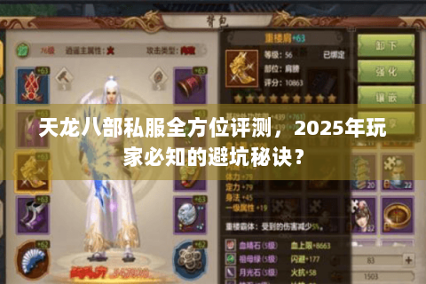 天龙八部私服全方位评测，2025年玩家必知的避坑秘诀？