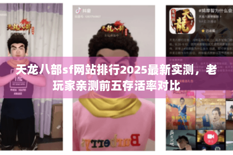 天龙八部sf网站排行2025最新实测，老玩家亲测前五存活率对比