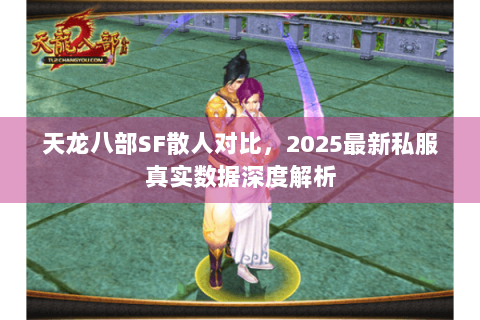 天龙八部SF散人对比，2025最新私服真实数据深度解析