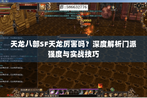 天龙八部SF天龙厉害吗？深度解析门派强度与实战技巧