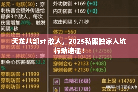 天龙八部sf 散人，2025私服独家入坑行动速递！