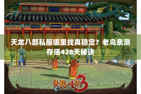 天龙八部私服哪里找真稳定？老鸟亲测存活428天秘诀
