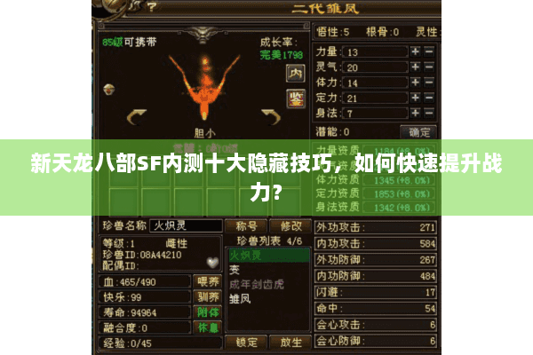 新天龙八部SF内测十大隐藏技巧，如何快速提升战力？