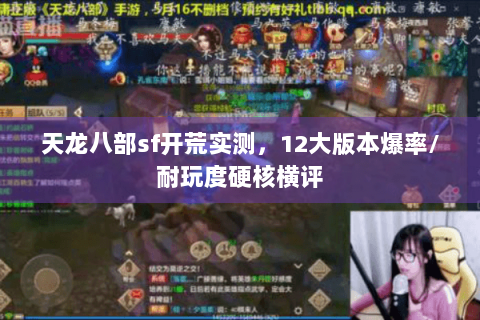 天龙八部sf开荒实测，12大版本爆率/耐玩度硬核横评