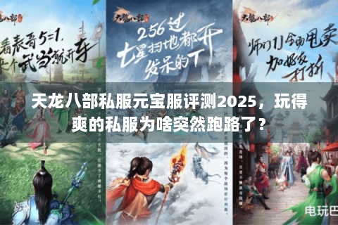 天龙八部私服元宝服评测2025,玩得爽的私服为啥突然跑路了? 天龙八部私服元宝服评测2025,玩得爽的私服为啥突然跑路了?