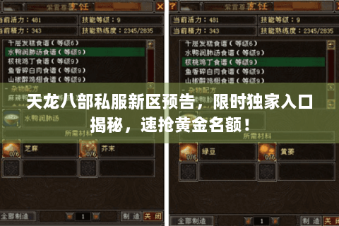 天龙八部私服新区预告，限时独家入口揭秘，速抢黄金名额！