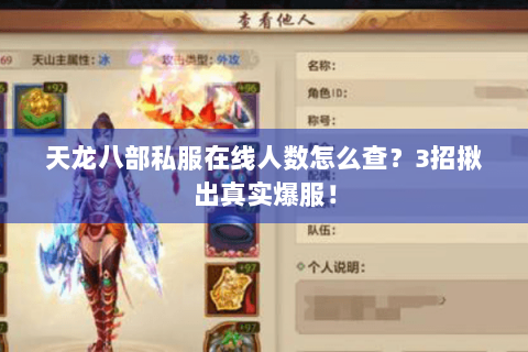 天龙八部私服在线人数怎么查？3招揪出真实爆服！