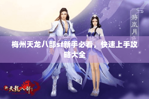 梅州天龙八部sf新手必看,快速上手攻略大全 梅州天龙八部sf新手必看,快速上手攻略大全