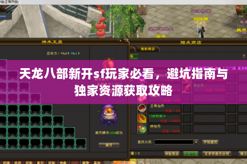 天龙八部新开sf玩家必看，避坑指南与独家资源获取攻略