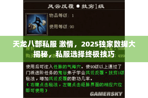 天龙八部私服 激情，2025独家数据大揭秘，私服选择终极技巧